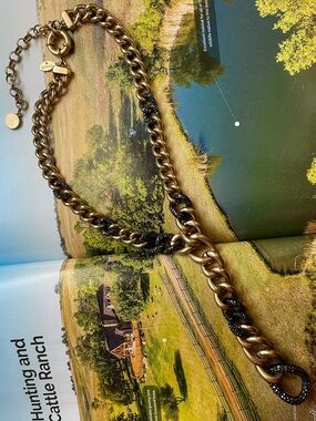 Chico’s Gold Chain Necklace with Black Pavé Accents